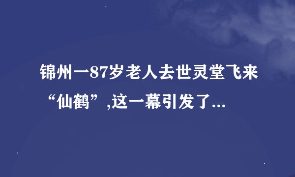 锦州一87岁老人去世灵堂飞来“仙鹤”,这一幕引发了哪些质疑?