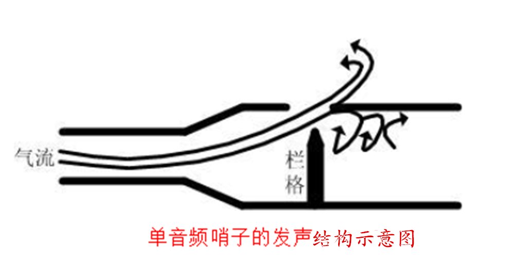 哨子的内部结构图,怎么看?