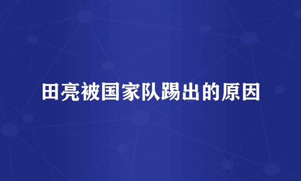田亮被国家队踢出的原因