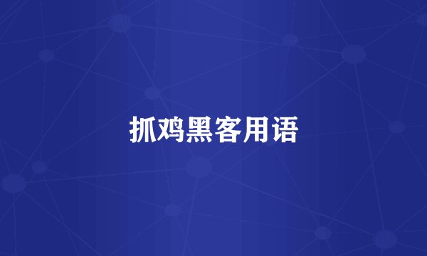 抓鸡黑客用语