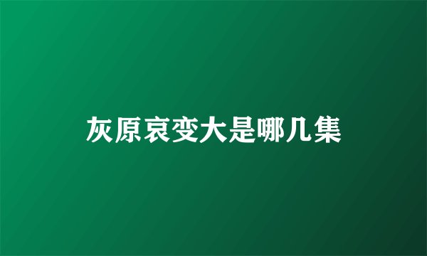 灰原哀变大是哪几集