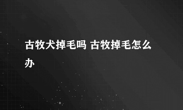 古牧犬掉毛吗 古牧掉毛怎么办