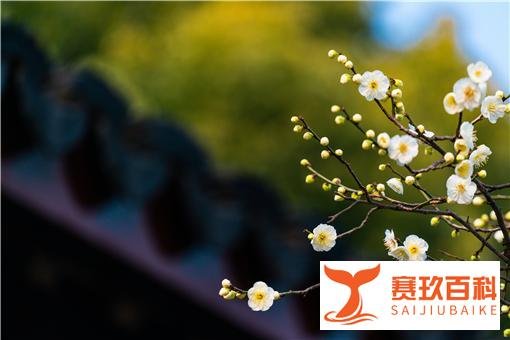 躲春2022具体时间：2022年躲春几点到几点？怎么躲春？