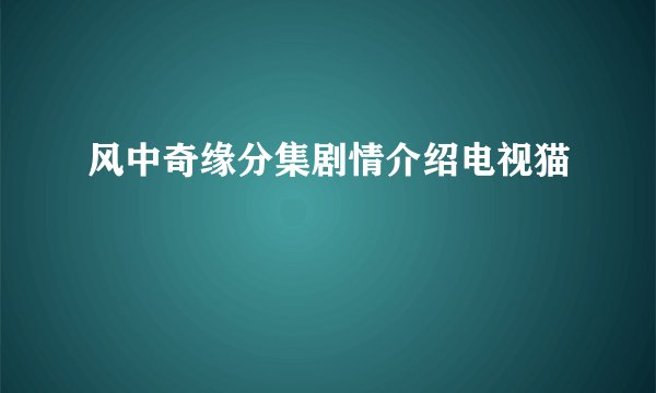 风中奇缘分集剧情介绍电视猫