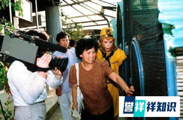 如何看待六小龄童和杨洁导演直接的关系