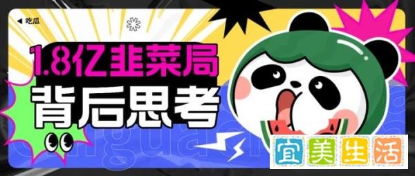 西南地区最大网红孵化基地被捣毁，涉案1.8亿网红韭菜局背后思考