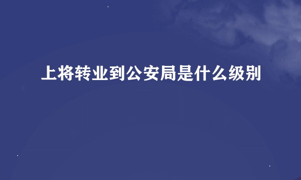 上将转业到公安局是什么级别