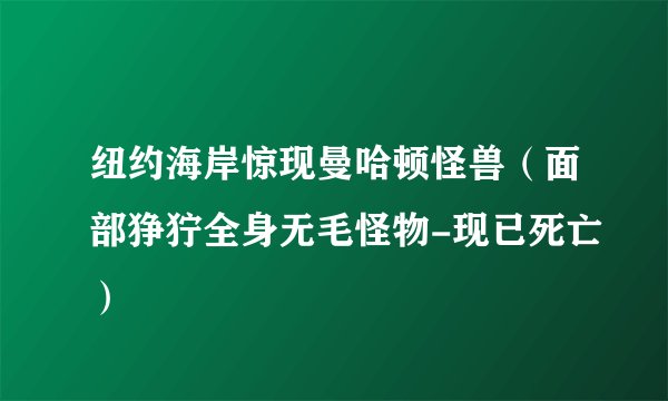 纽约海岸惊现曼哈顿怪兽(面部狰狞全身无毛怪物-现已死亡)