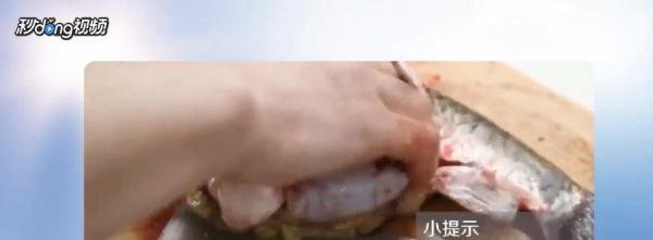 新手怎么杀鱼?