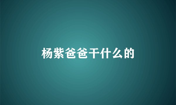 杨紫爸爸干什么的