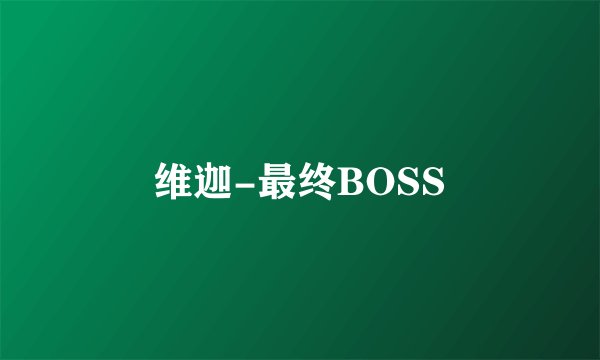 维迦-最终BOSS