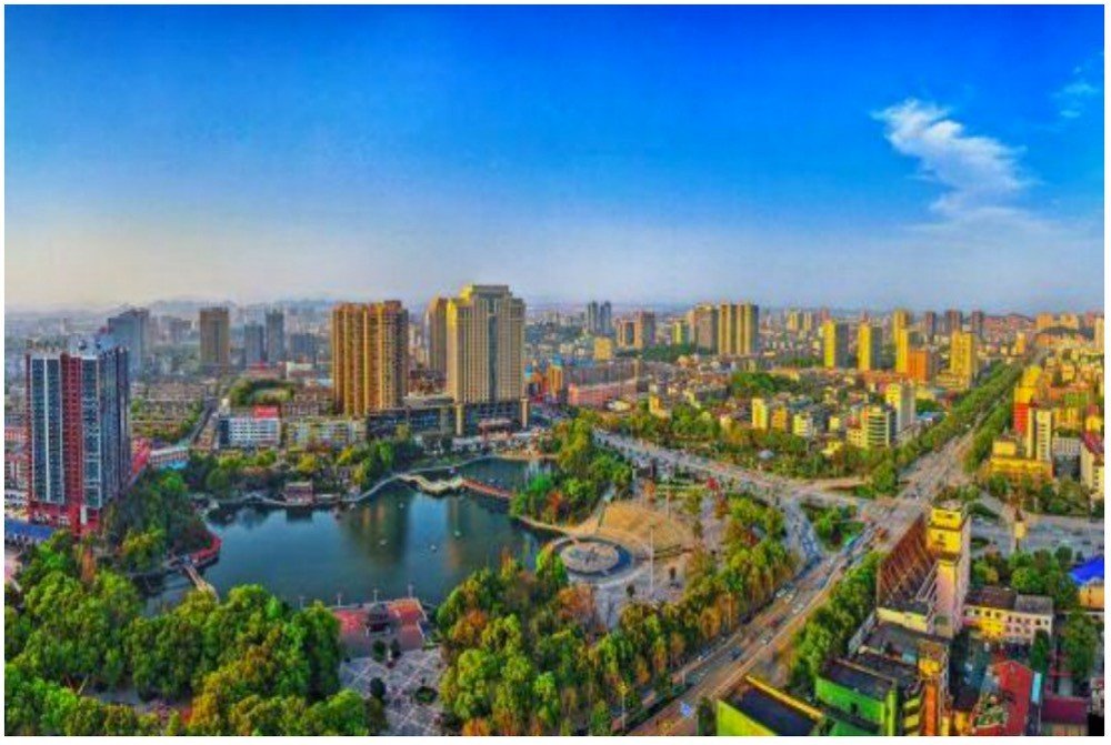 娄底市的市花和市树分别是
