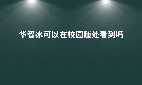华智冰可以在校园随处看到吗