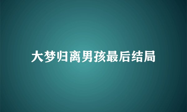 大梦归离男孩最后结局
