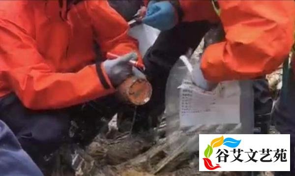 一夜过去，东航客机坠毁事故有这些最新情况