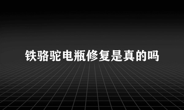 铁骆驼电瓶修复是真的吗