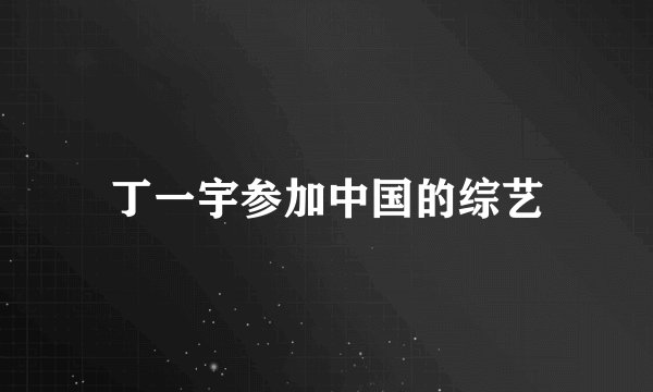 丁一宇参加中国的综艺