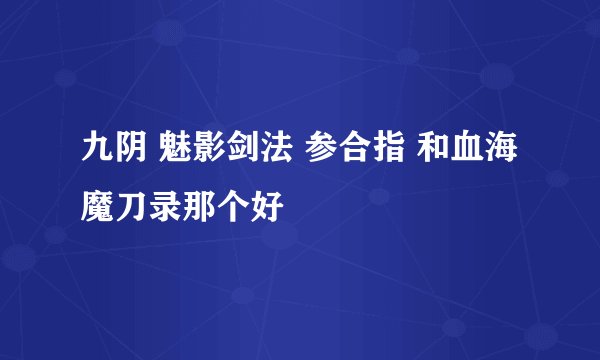 九阴 魅影剑法 参合指 和血海魔刀录那个好