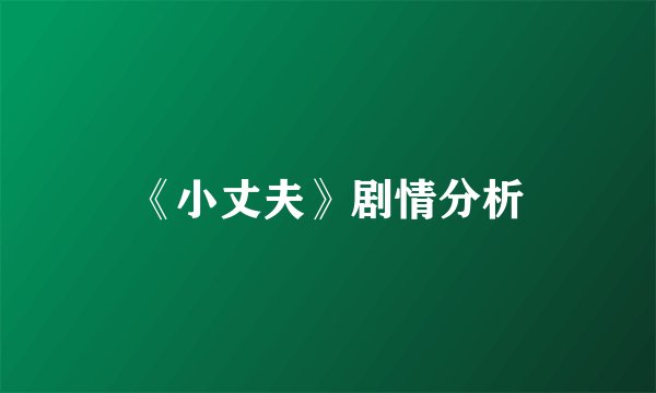 《小丈夫》剧情分析