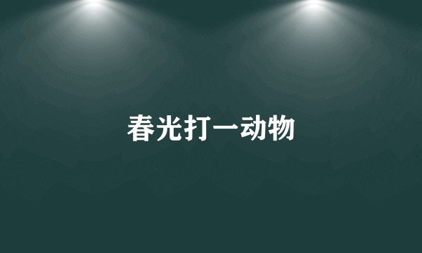 春光打一动物