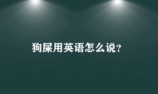 狗屎用英语怎么说？