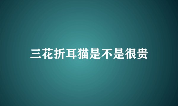 三花折耳猫是不是很贵