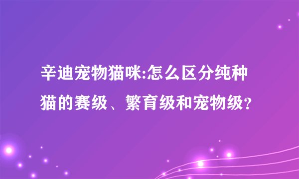 辛迪宠物猫咪:怎么区分纯种猫的赛级、繁育级和宠物级？