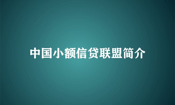 中国小额信贷联盟简介