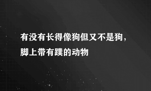 有没有长得像狗但又不是狗,脚上带有蹼的动物