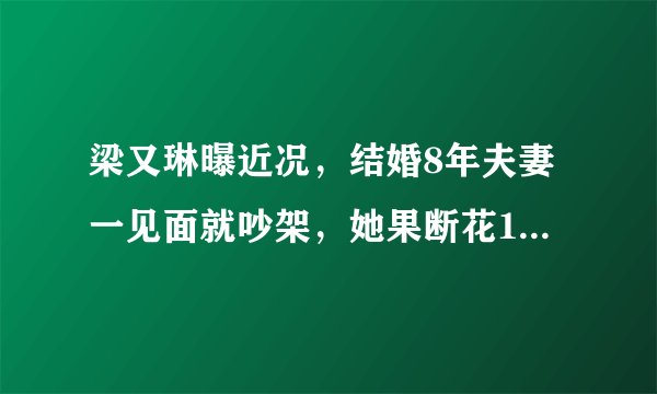 梁又琳曝近况，结婚8年夫妻一见面就吵架，她果断花10天解决问题