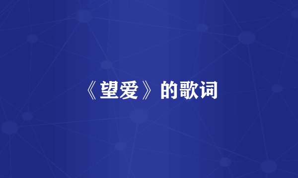 《望爱》的歌词