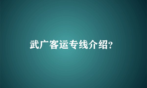 武广客运专线介绍？