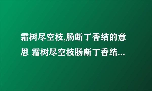 霜树尽空枝,肠断丁香结的意思 霜树尽空枝肠断丁香结的意思是什么