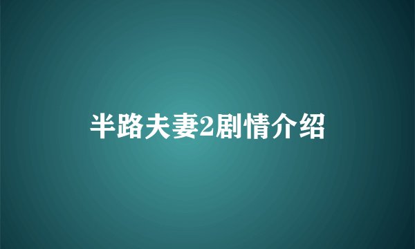 半路夫妻2剧情介绍