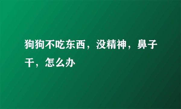 狗狗不吃东西,没精神,鼻子干,怎么办