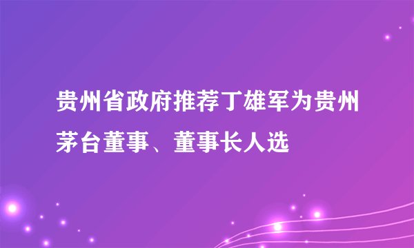 贵州省政府推荐丁雄军为贵州茅台董事、董事长人选