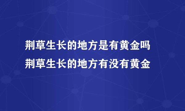 荆草生长的地方是有黄金吗 荆草生长的地方有没有黄金