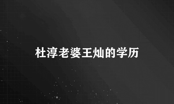 杜淳老婆王灿的学历