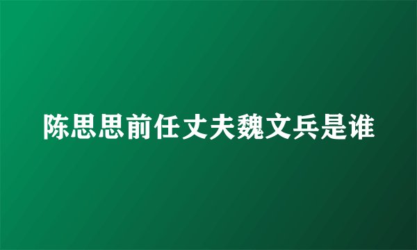 陈思思前任丈夫魏文兵是谁