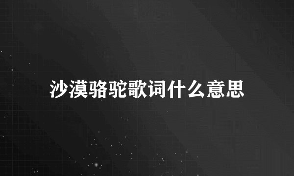 沙漠骆驼歌词什么意思