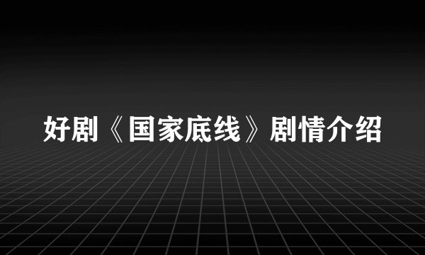 好剧《国家底线》剧情介绍