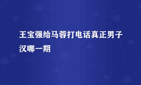 王宝强给马蓉打电话真正男子汉哪一期
