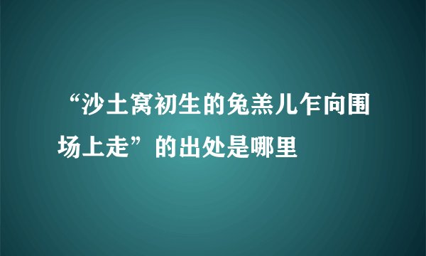“沙土窝初生的兔羔儿乍向围场上走”的出处是哪里