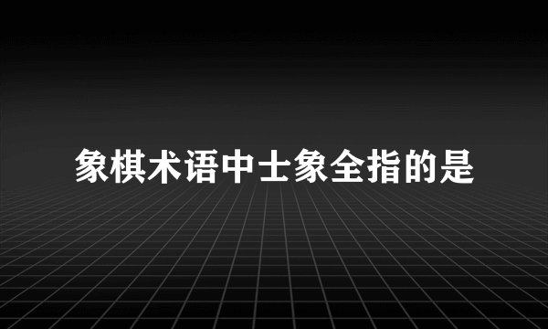 象棋术语中士象全指的是