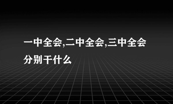 一中全会,二中全会,三中全会分别干什么
