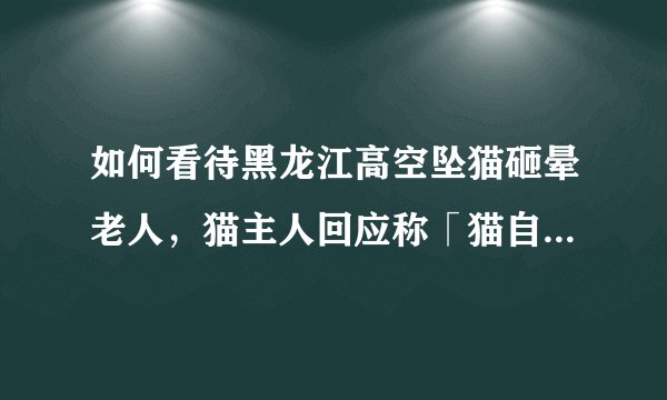 如何看待黑龙江高空坠猫砸晕老人,猫主人回应称「猫自己跳的楼,对方要15万太多了」?法律责任如何界定?