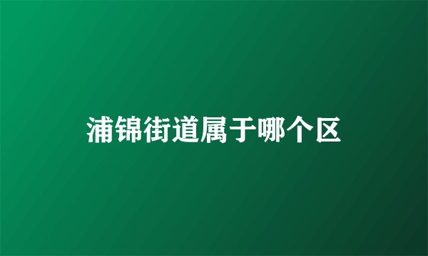 浦锦街道属于哪个区