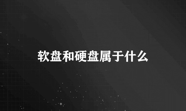 软盘和硬盘属于什么