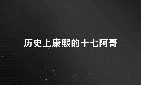 历史上康熙的十七阿哥