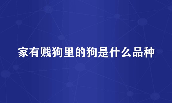 家有贱狗里的狗是什么品种